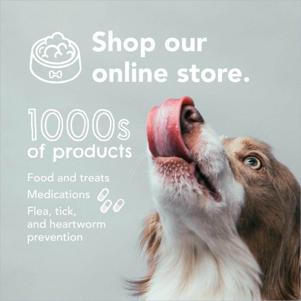 Online-store